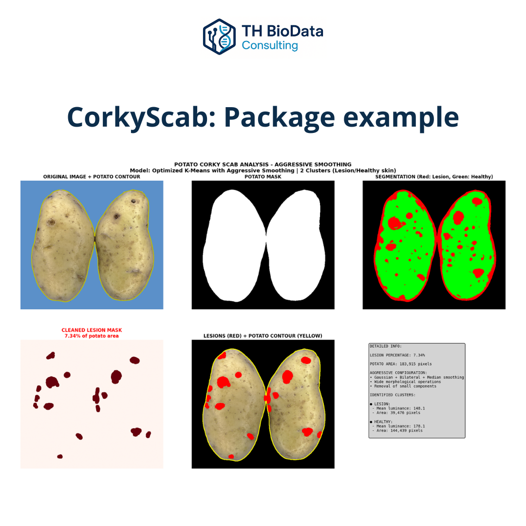 CorkyScab example
