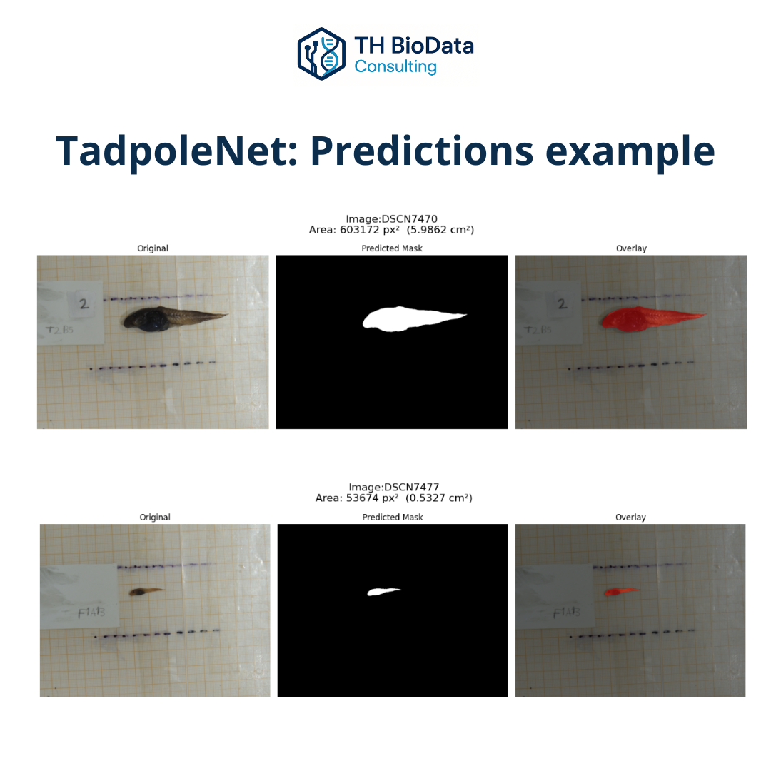TadpoleNet example